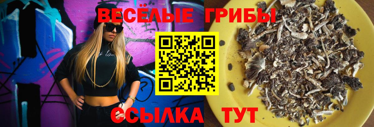 Галлюциногенные грибы мицелий  Вход с VPN  Шатура 